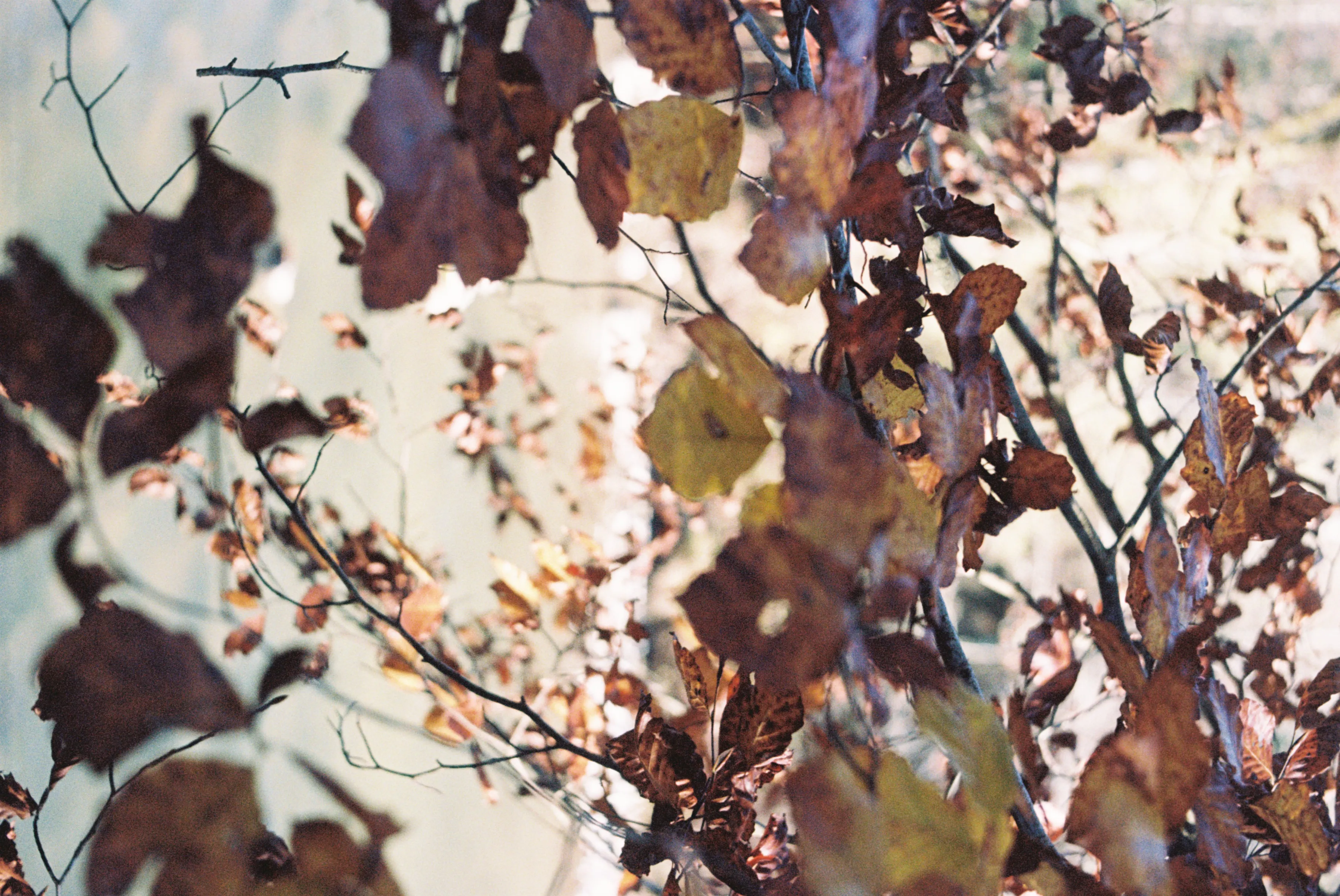 Photographie